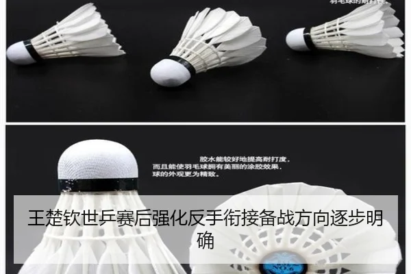 王楚钦世乒赛后强化反手衔接备战方向逐步明确
